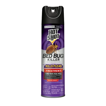 Hot Shot Bed Bug Aerosol Spray, Kills Bugs, Eggs, and Fleas, 17.5 oz