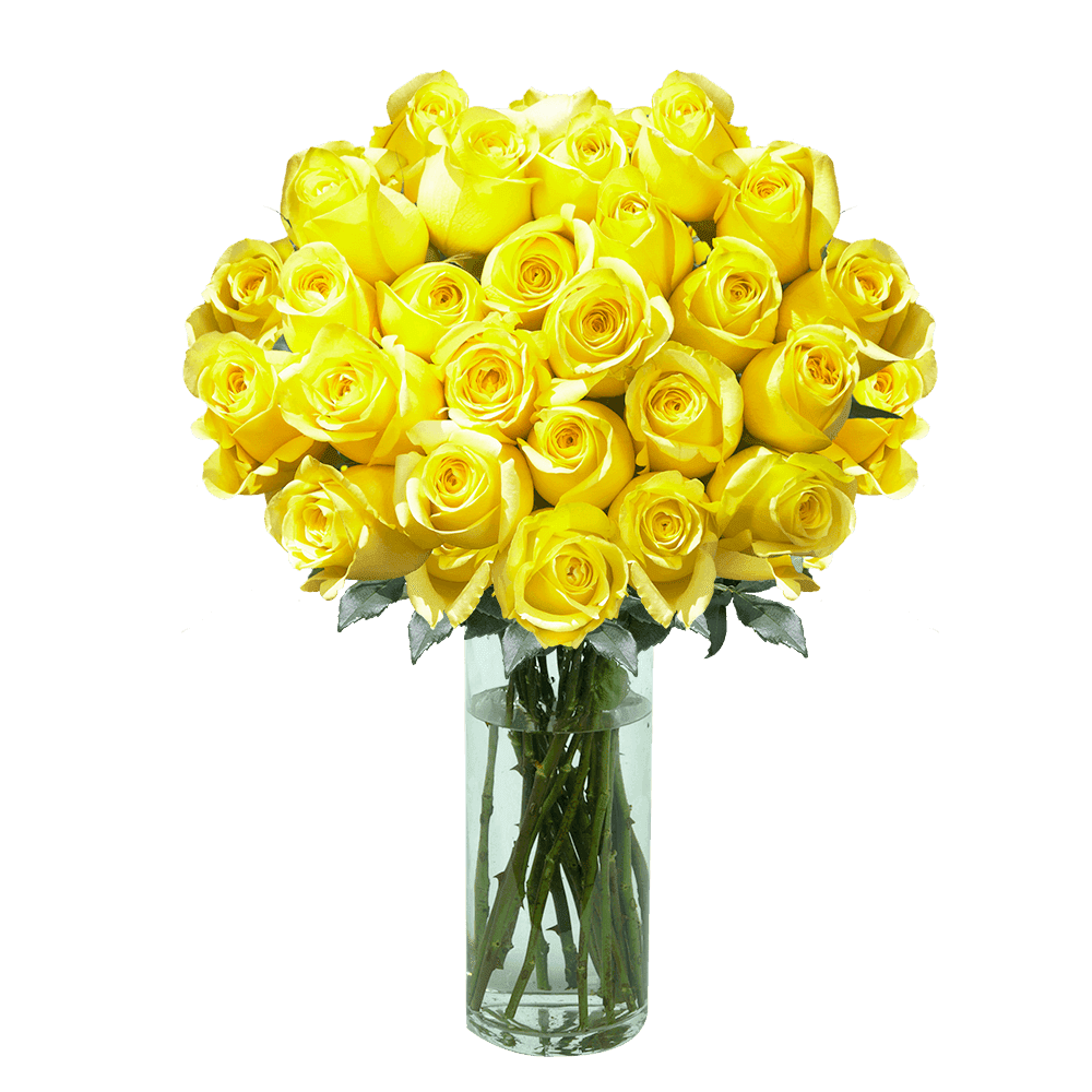 50 Stems Of Lemon Yellow Citran Roses Fresh Flower Delivery Walmart Com Walmart Com