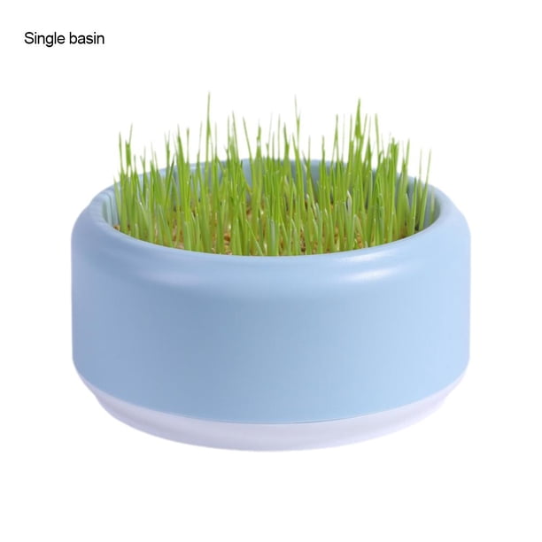 TQEHS Caja para plantar césped para gatos, kit para cultivar plantas, maceta hidropónica gratuita para gatos, césped F6R9