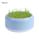 thumbnail image 1 of TQEHS Caja para plantar césped para gatos, kit para cultivar plantas, maceta hidropónica gratuita para gatos, césped F6R9, 1 of 6