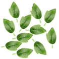 thumbnail image 5 of 50 Pieces Artificial Foliage Leaves for Wedding Bouquets DIY Garland Decoration, 5 of 9