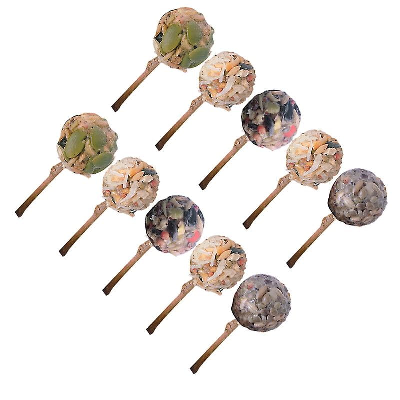 10pcs Chew Toys