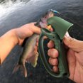 thumbnail image 1 of Pinza de pescado en forma de mandíbula, alicates de pesca, herramienta para agarrar peces, soporte para peces (verde), 1 of 9