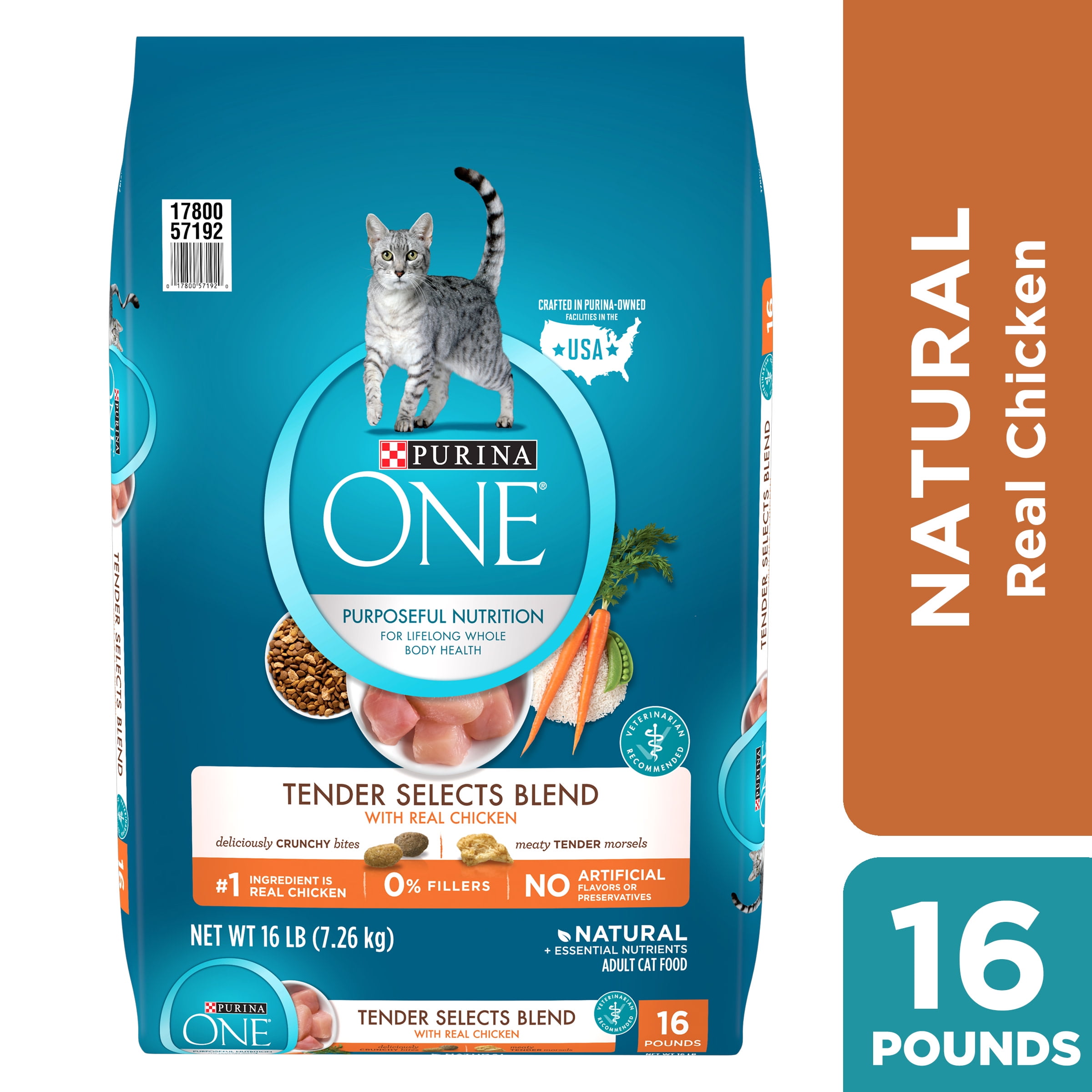 walmart purina dry cat food