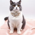 thumbnail image 5 of Dog Collar Gold Chain Necklace with Diamonds for Small Medium Puppy Stainless Steel Adjustable Pet Jewelry Accessories,White Size S, 5 of 5