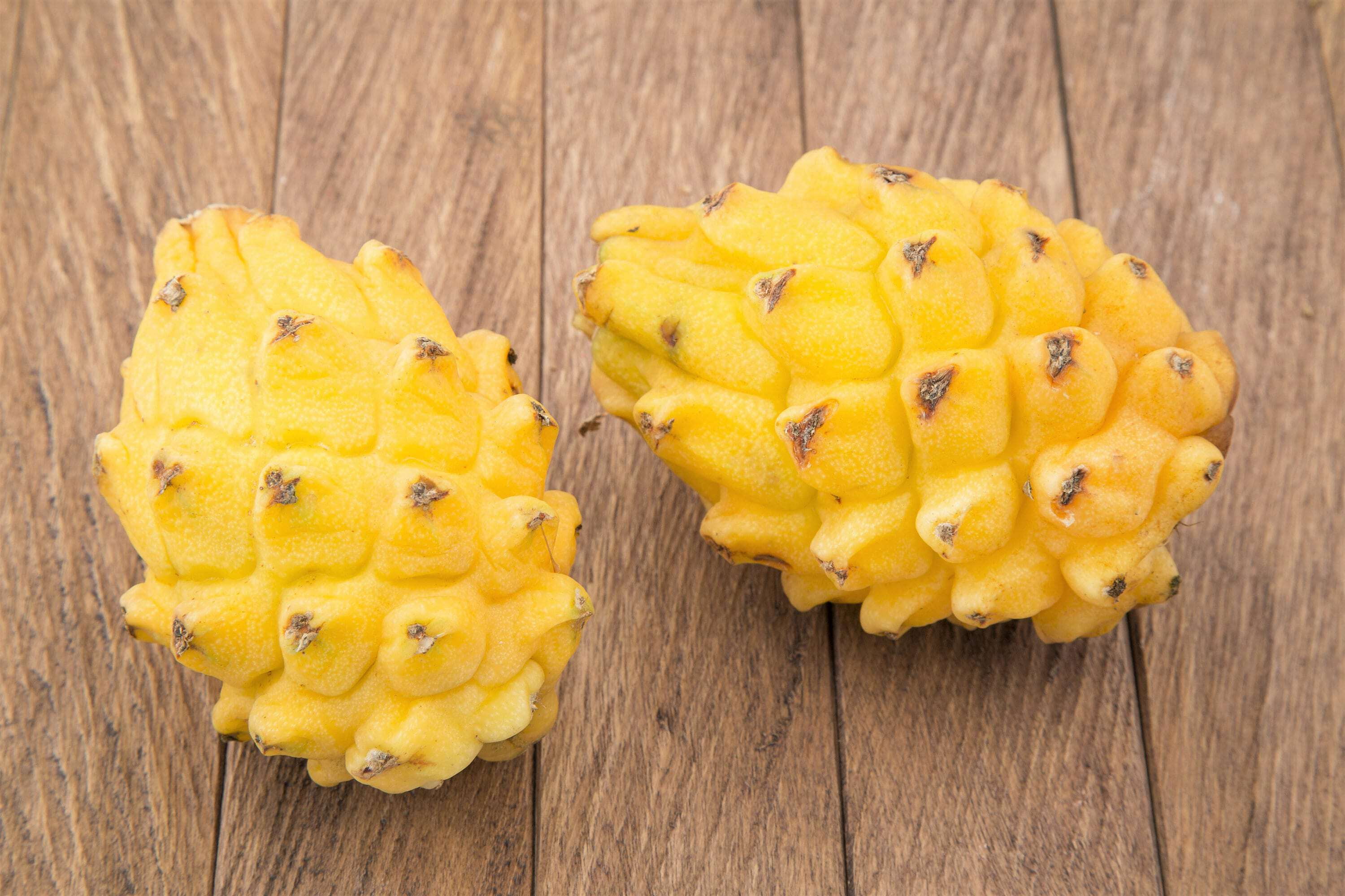 40 Yellow Dragon Fruit Seeds (Pitahaya) – Sweet, Edible Cactus, USA Grown 2024