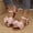 Pink, variant on Women's Bow Flat Sandals Dressy Open Toe Ankle Strap Summer Vacation Slides Shoes Green 6(37)