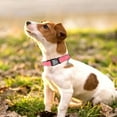 thumbnail image 2 of Dog Collar and Leash Set with Safety Seat Belt, Ideal for Walking – Fits Small to X-Large Dog (Pink-M), 2 of 10