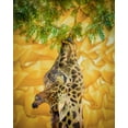 thumbnail image 2 of Esposito, Ed 15x18 White Modern Wood Framed Museum Art Print Titled - Giraffe at the Zoo, 2 of 4