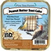 SUET CAKE PEANUT BUTTER 12OZ 12