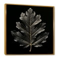 thumbnail image 2 of Designart "Oak Leaf In Black Onyx" Leaves Floater Framed Canvas Wall Art, 2 of 5