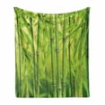 thumbnail image 1 of Bamboo Print Soft Flannel Fleece Blanket, Close up of Bamboo Sprouts Stems Nature in Tropical Rain Forest Wildlife Feng Shui, Cozy Plush for Indoor and Outdoor Use, 70" x 90", Green, by Ambesonne, 1 of 6
