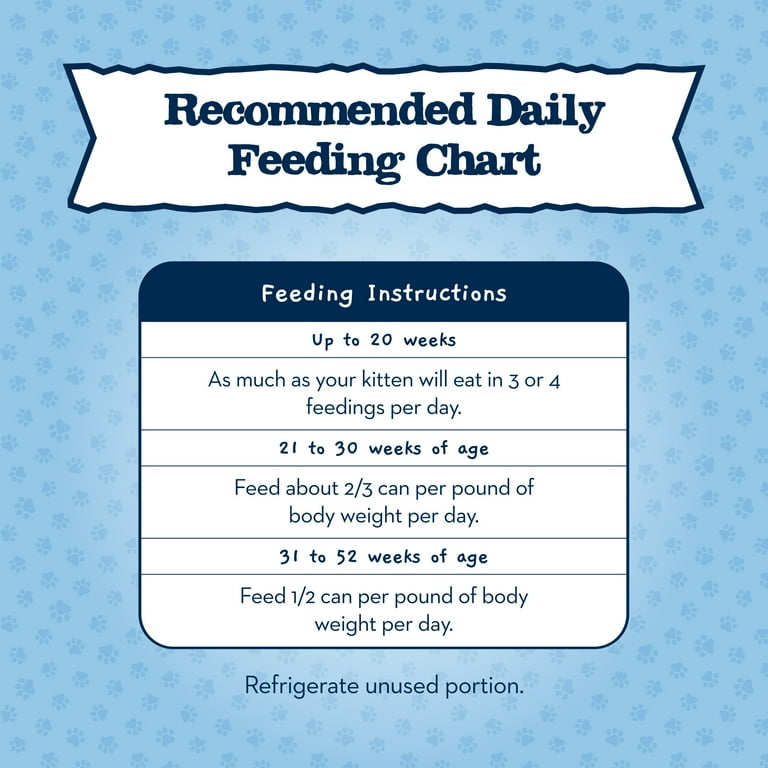 Orphaned Kittens How To Get A Newborn Kitten To Eat Feeding