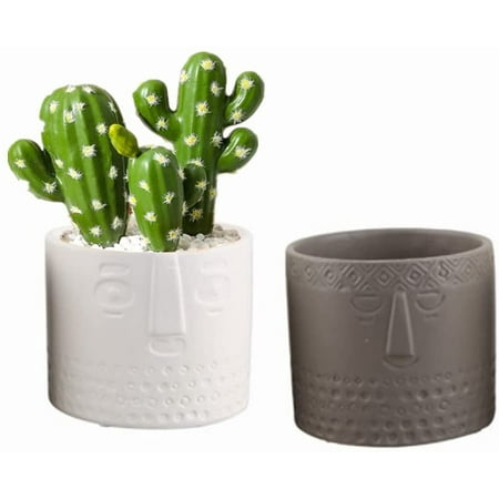 Set of 2 Ceramic Flower Pots for Succulents  Creative Flower Pots for Living Room  Office (White + Gray)