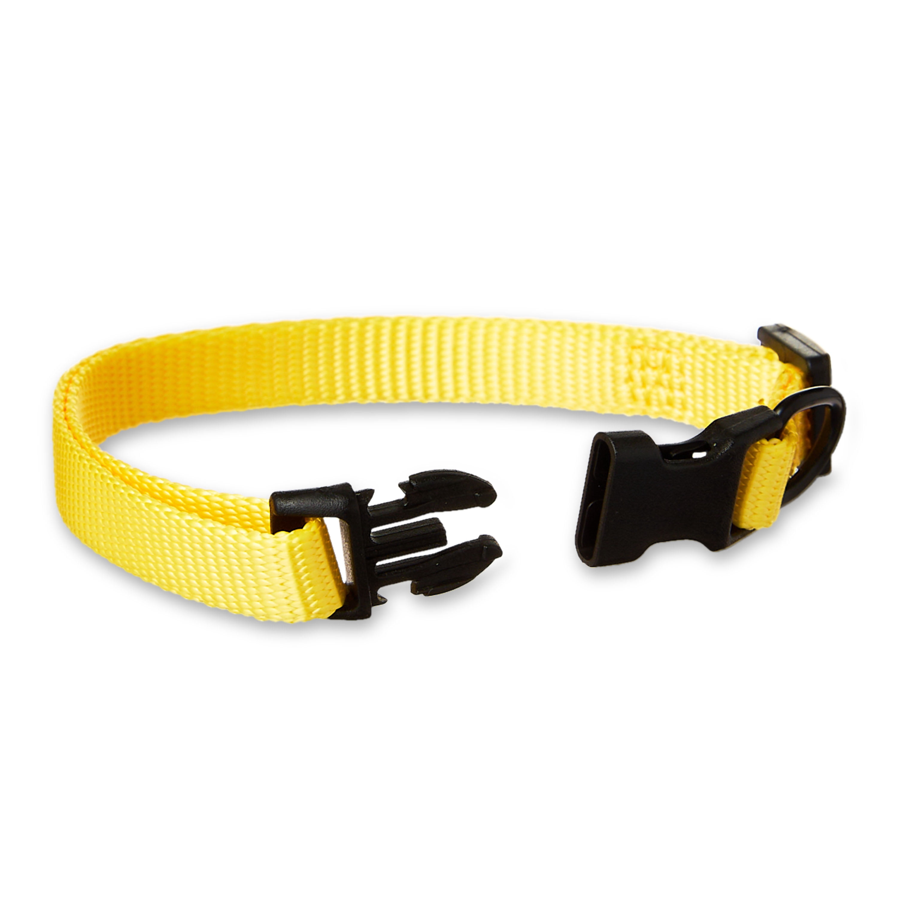 Vibrant Life Polyester Adjustable Dog Collar, Yellow, S