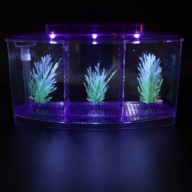 Réservoir de poissons en verre créatif bureau Mini réservoir de poissons  tropicaux réservoir de poissons en or réservoir de Betta pour le bureau à