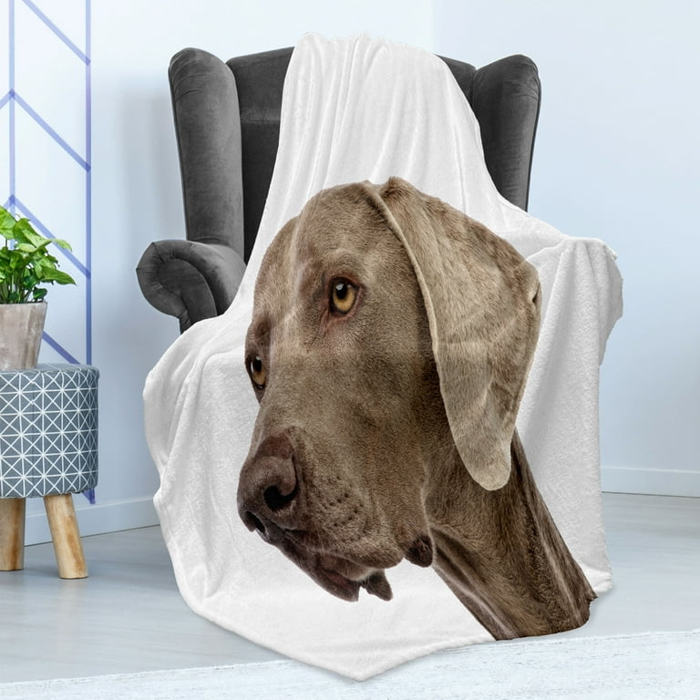 Weimaraner blanket sales