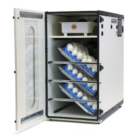 GQF Professional Egg Incubator Cabinet Digital LCD Display Picture Window 1500