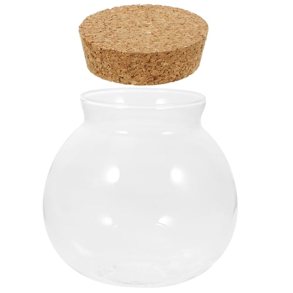 OUNONA Clear Glass Ecological Bottle for Indoor Plant Display, Decorative Terrarium Vase for Home and Office