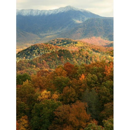 Mt LeConte above fall foliage, Smoky Mountains, Tennessee, USA Print Wall Art By Anna