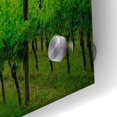 thumbnail image 3 of Epic Art  'Vineyard In The Mist'  by Don Schwartz, Acrylic Glass Wall Art, 36"x24", 3 of 8