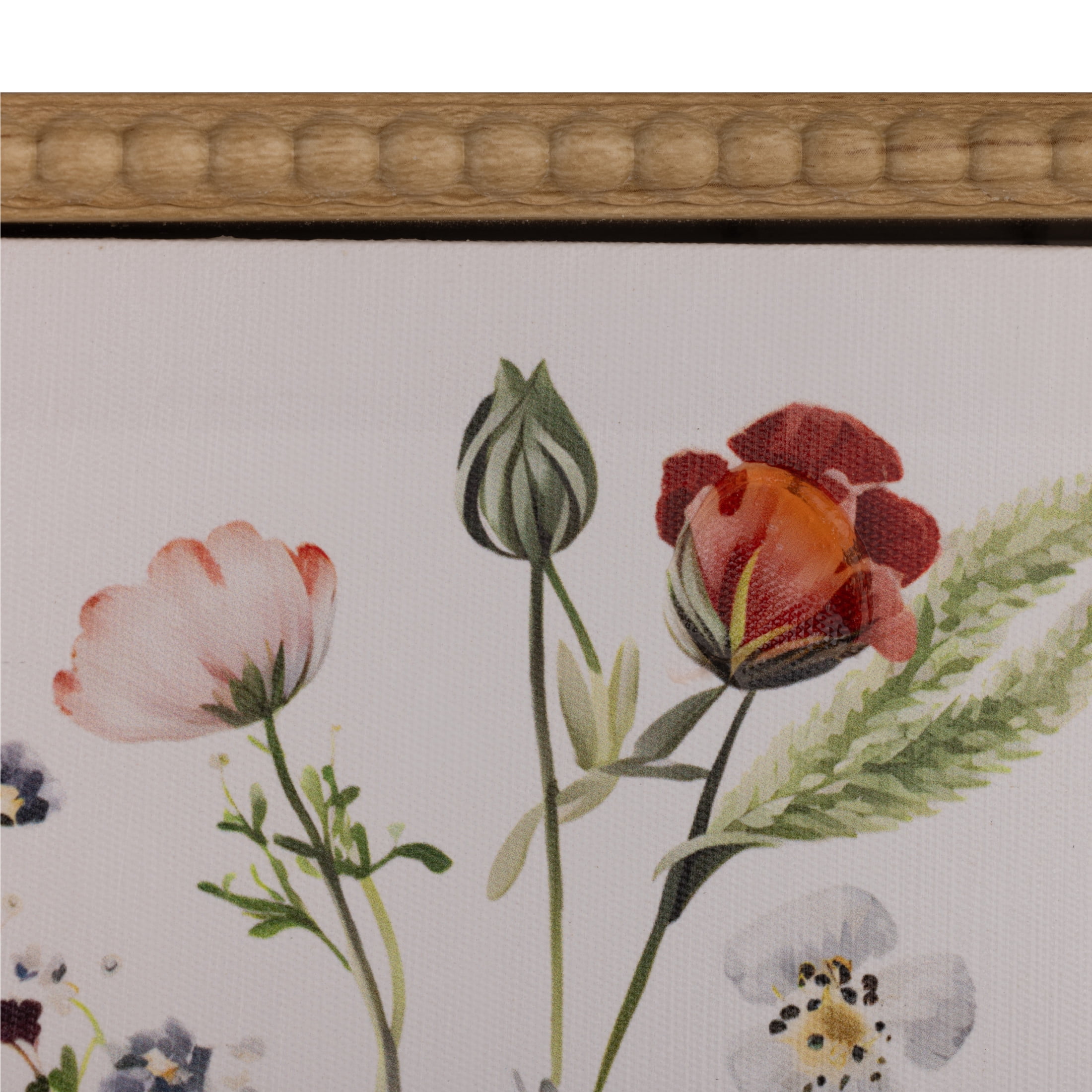 Gallery Solutions Set of 2 Botanical Floral Canvas Art with Beaded Frame
