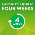 thumbnail image 3 of Scrubbing Bubbles Toilet Tablets, Continuous Clean Toilet Drop Ins 5 Count, 3 of 6
