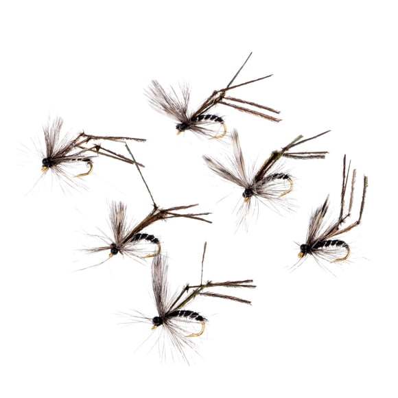 6 Piezas de cebos de pesca Cola Herramienta para moscas de pesca con mosca