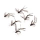 thumbnail image 2 of 6 piezas Moscas de pesca con mosca Zulema Herramienta para moscas de pesca con mosca, 2 of 7