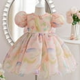 thumbnail image 2 of Little Girl Tutu Dress Tulle Ruffles Flower Girls Wedding Party Dresses Mesh Princess Bow Skirt Pink 18-24 Months, 2 of 7