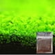 thumbnail image 1 of 50% Off New Aquarium Ornament Plant Seeds Fish Tank Landscape Decoration Water Grass Seed Easy To Grow, 1 of 5