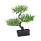 thumbnail image 5 of Bonsái artificial, planta falsa en maceta, multiusos, decorativa, artificial Verde, 5 of 9
