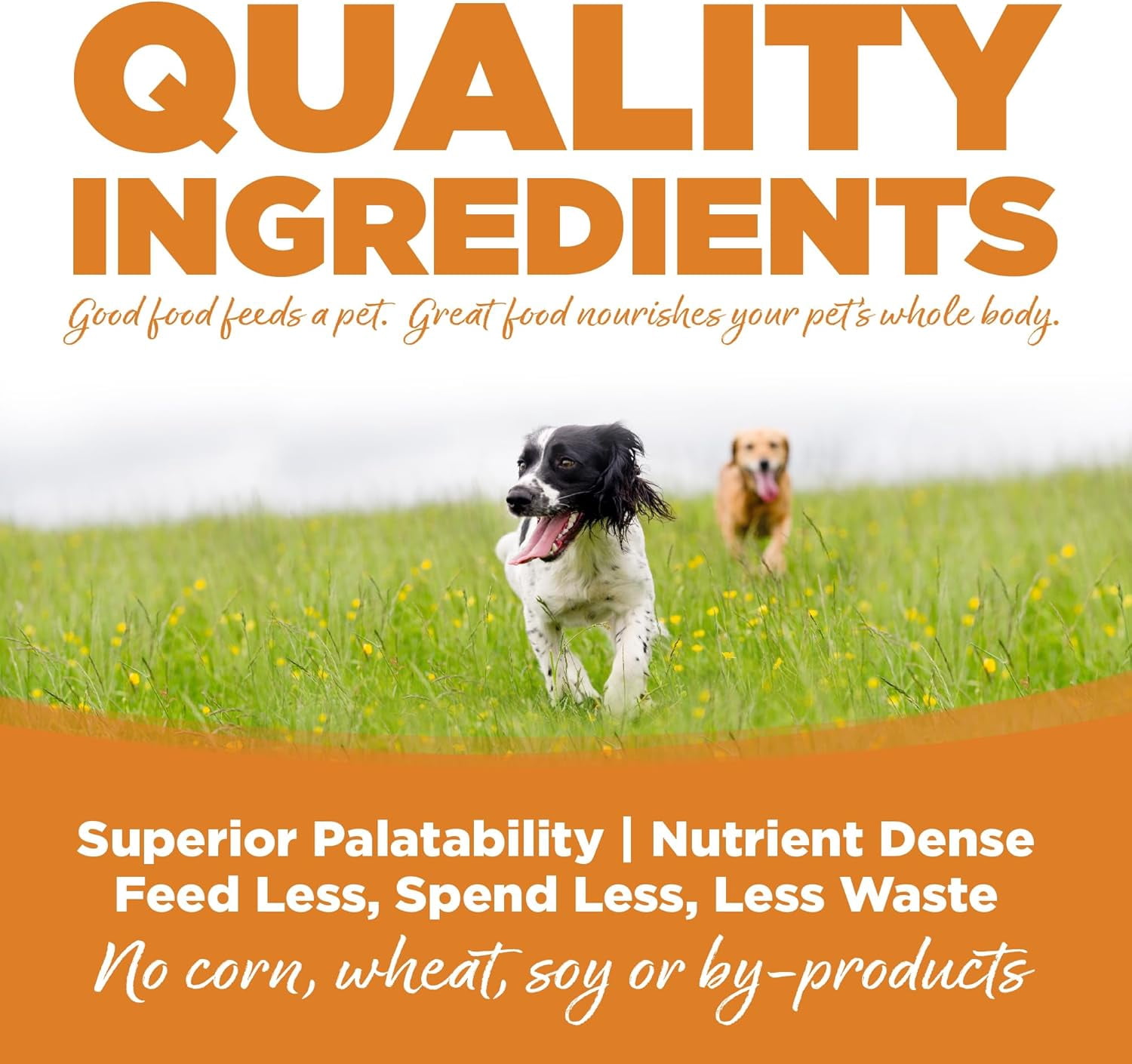 NutriSource with Wholesome Grains Lamb Meal & Rice Recipe Dog Food 12 lb