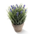 thumbnail image 5 of K-Cliffs Artificial Provence Lavender Flower Plant Arrangements in Pot for Home Decor, 5 of 6