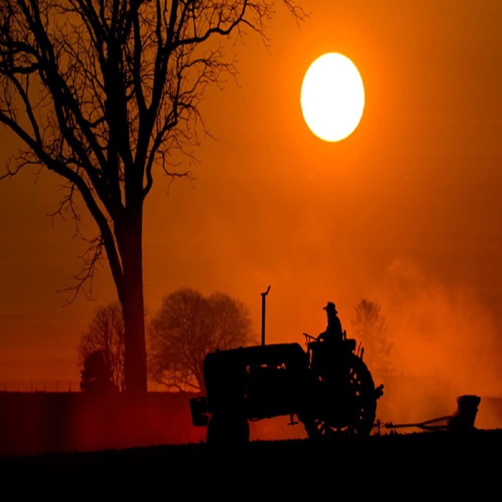 Amish Harvest Fragrance Oil 8 lb Bottle for Candle Making, Soap Making, Tart Making, Room Sprays, Lotions, Car Fresheners, Slime, Bath Bombs, Warmers