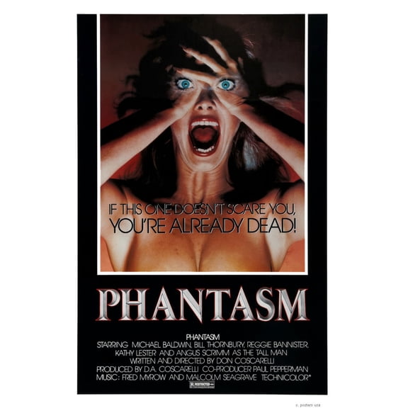 Phantasm Mini Movie Poster 11inx17in ships in mail/gift tube 11x17 poster