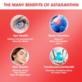 thumbnail image 4 of Astaxanthin Capsule - Antarctic Krill Oil 600 mg - Omega-3 EPA, DHA - Antioxidant Supplement to Support Eye, Skin, Joint & Immune System Health, 4 of 5