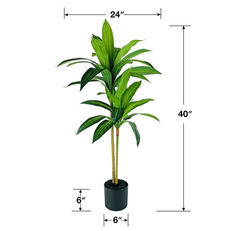 money tree burien Money Tree