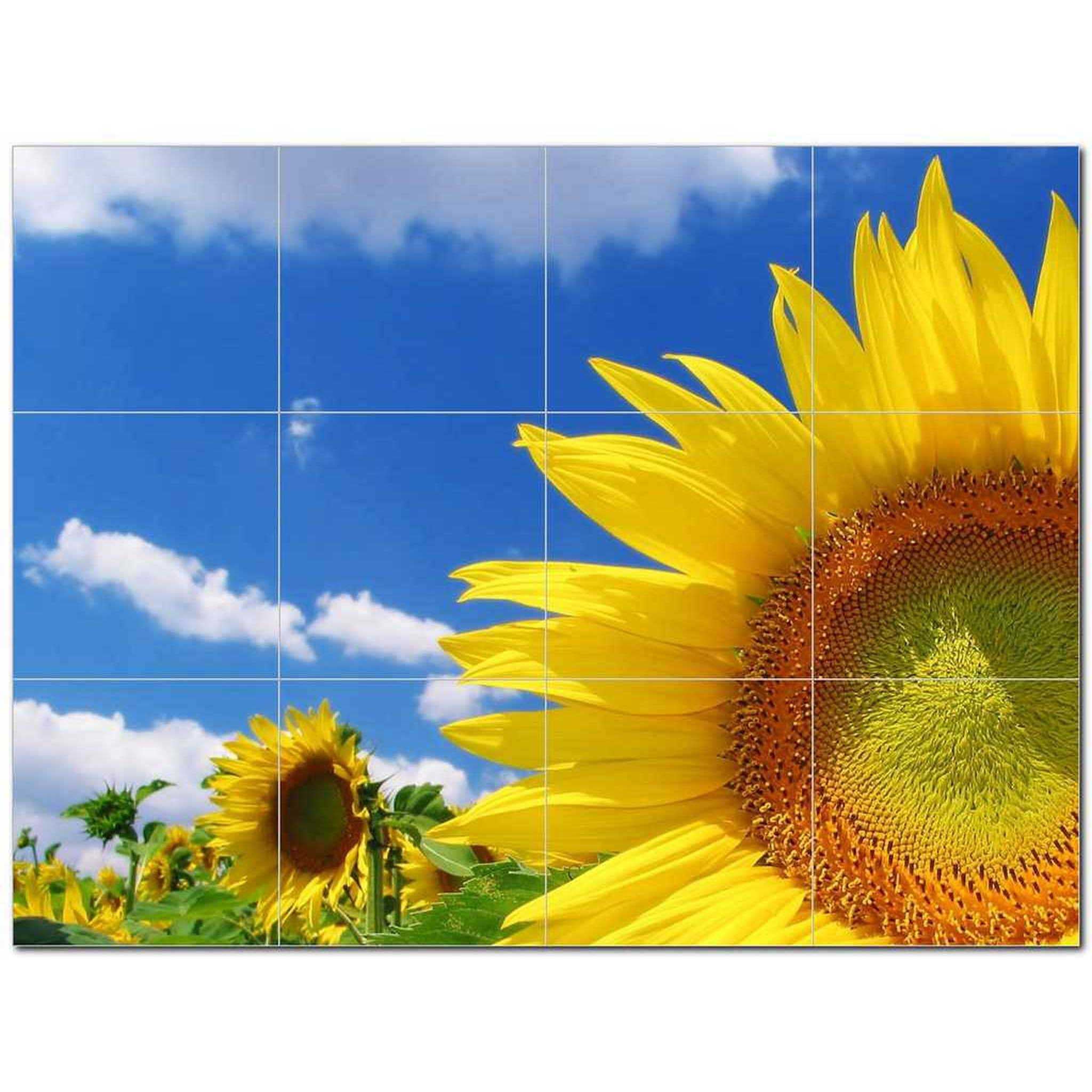 Flower Photo Ceramic Tile Mural Kitchen Backsplash Bathroom Shower