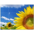 thumbnail image 1 of Flower Photo Ceramic Tile Mural Kitchen Backsplash Bathroom Shower 404811-XL43, 1 of 3