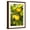 Brown Frame, variant on Art.com Lemon Grove II Photo by Karyn Millet, 12" x 18"