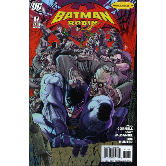 Batman and Robin #17 VF ; DC Comic Book