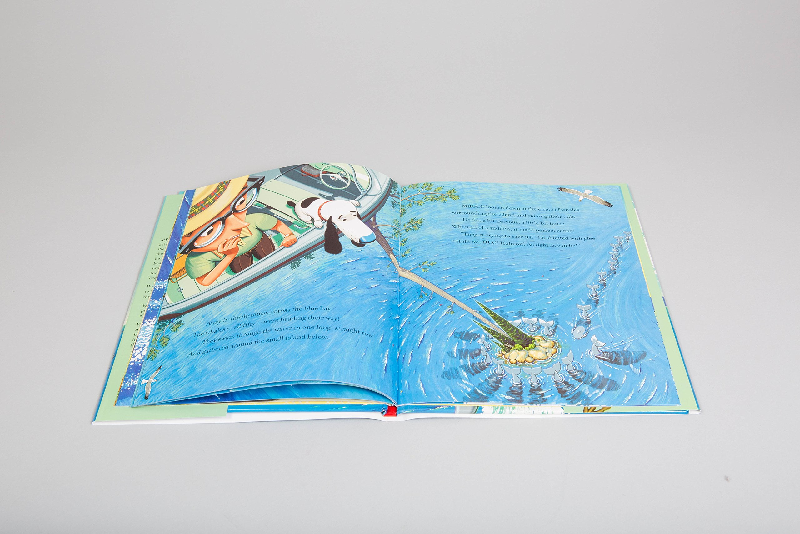 Mr. Magee Down to the Sea with Mr. Magee, (Hardcover)