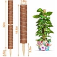 thumbnail image 2 of Porta plantas Monstera para plantas trepadoras de interior con tallos de musgo, 2 piezas, 2 of 5