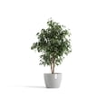 thumbnail image 4 of Ecopots Stockholm Durable Modern Round Indoor/Outdoor Recycled Based Composite Flower Pot Planter, White Grey, 12", 4 of 4