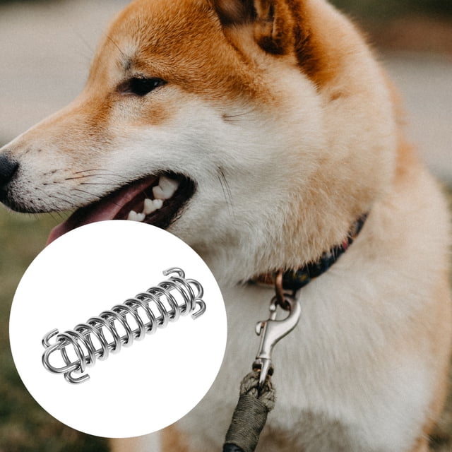 WEUVEB Ressort de Tension pour Laisse de Chien Ressort en Acier Inoxydable 1ensemble