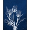 thumbnail image 2 of Koetsier, Albert 12x14 Black Ornate Wood Framed with Double Matting Museum Art Print Titled - Ecto Indigo Tulips, 2 of 4
