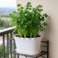 thumbnail image 3 of Wave Edges Plastic Plants Pots with Drainage Holes & Matching Saucers,Lightweight Indoor Outdoor Decorative Flower Planters Garden Decor, 3 of 7
