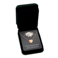 thumbnail image 2 of Anavia Mini Heart Cremation Jewelry Stainless Steel Keepsake Memorial Urn Necklace for Human with"Love Never Dies" Comfort Card-[Rose Gold], 2 of 3