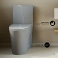 thumbnail image 3 of St. Tropez One-Piece Elongated Toilet Vortex™ Dual-Flush 1.1/1.6 gpf in Glossy Grey, 3 of 12